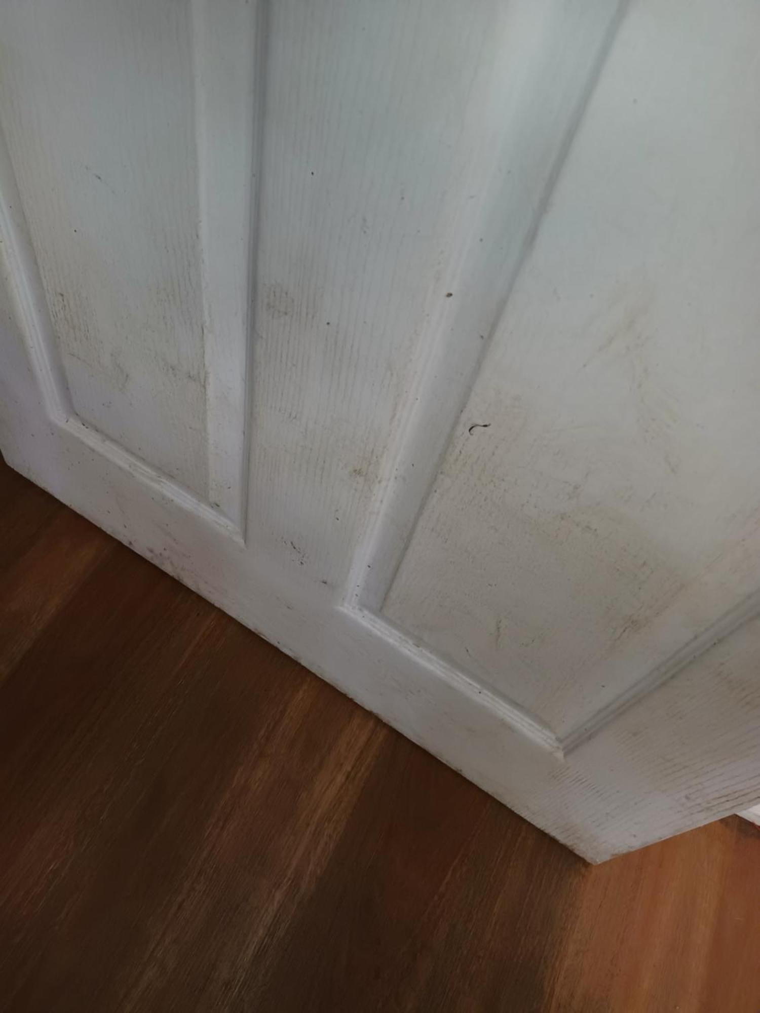 Single Room In Wollongong Near Uni Keiraville 객실 사진