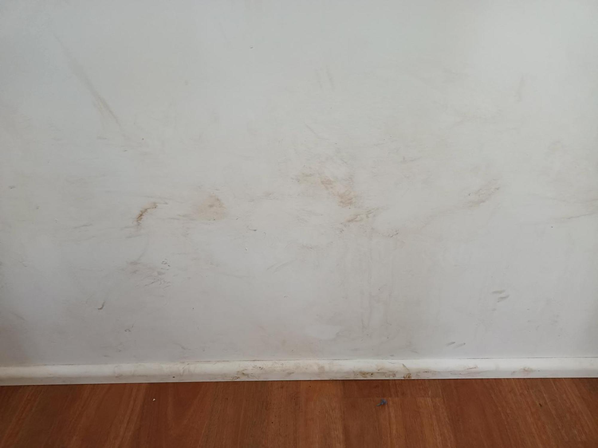 Single Room In Wollongong Near Uni Keiraville 객실 사진